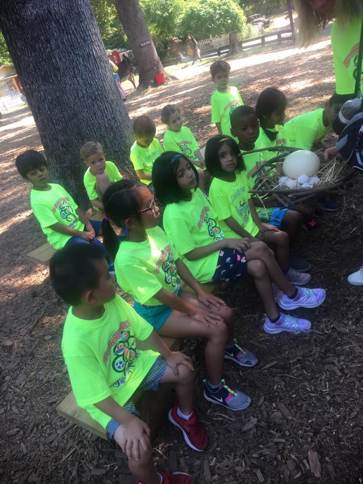 2019 Summer Camp Fun McGinnis Woods Country Day School