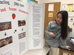 Presentations Middle School Students 2019 Science Fair Projects
