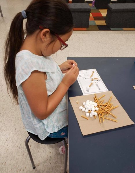 Pretzels and Marshmallows Constellation project