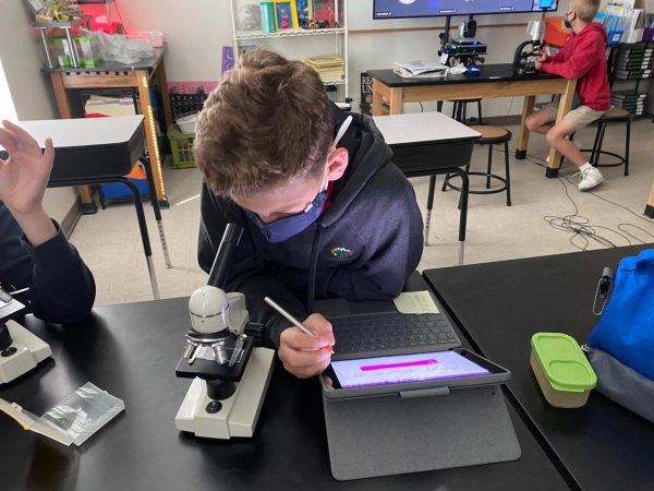 Using the Microscope - Hands on Learning