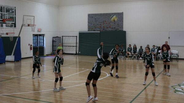 Girls Wildcat Volleyball Team Competing