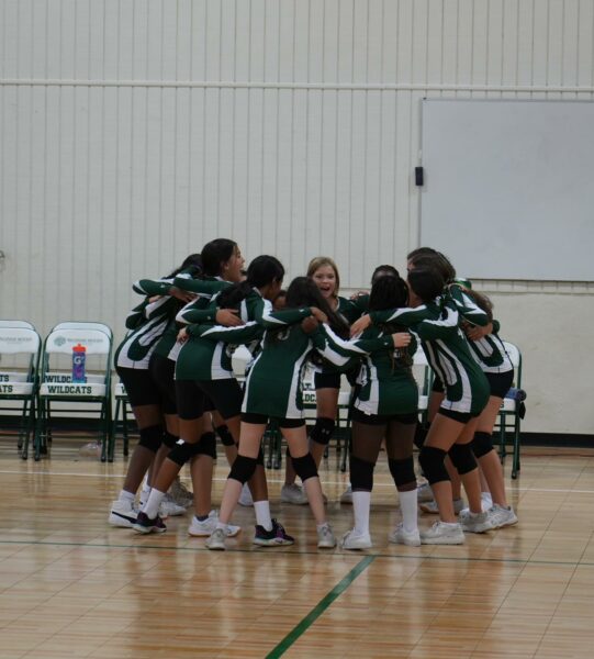 Girls Wildcat Volleyball Team Huddled Up